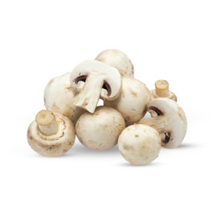 فطر أبيض - Champignon blanc