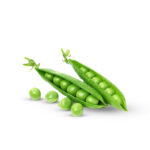 جلبانة - Petits pois