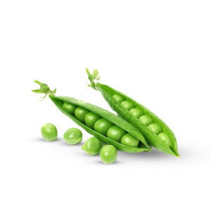 جلبانة - Petits pois